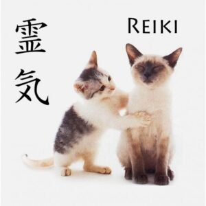 Reiki gyvūnams